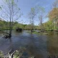 Person conscious after fall and head strike at visitor center