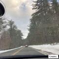 Car off roadway near Walpole Hill