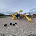 Fall victim with head injury at Ellery Town Park