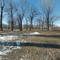 65-year-old woman falls at Elizabeth Park after hip surgery