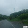 Low-hanging tree hazard on State Route 36
