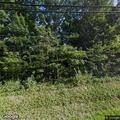 Car hits deer on Route 23A in Palenville