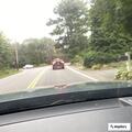 Elderly female with possible dementia seen running on road