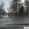 Bear reported inside home on Spring Street