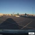 Animal complaint at grocery store parking lot
