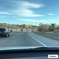 Large turtle blocking I-93 on-ramp in Braintree