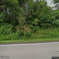 Car hits fallen tree on State Route 36 in Canisteo