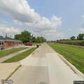 Loose dog reported near Torrey and Alfred