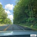 Car strikes deer on Route (number withheld) near Lower Road in Huntington