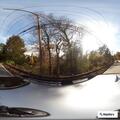 Branch on power line reported on Lampeter Lane