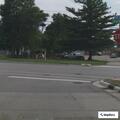 False fire alarm at Shadley Apartments