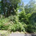 Tree branches arcing in power lines on Old North