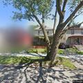 Loose pit bulls attack dog at Elm Street home