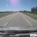 Deer reported on left shoulder of I-90 near Ripley