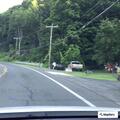 Unwanted man causing disturbance at Jacobs Ladder Rd