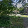 Loose cattle reported on Rigor Hill Road
