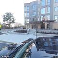 Tree branch down near Linden Street condominium