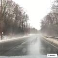 Erratic driving reported on Route 202 in Belchertown
