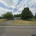 Report of found dog on State Route 414