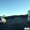 Brush fire reported near I-495 in Southborough