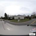 Turtle in roadway causing traffic hazard