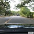 Sick swan reported at Olmsted Park