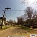 Abandoned cat and possible dog reported in home