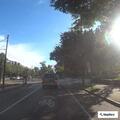Hit and run involving black sedan near Beacon Street
