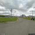 Loose dog in roadway near cheese factory