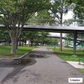 Person overdosing near community boathouse in Boston