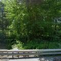 Motorcycle crash with arm injury on Route 79