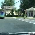 Injured bird causes traffic backup on Main Street