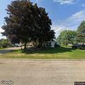 Loose dark brown dog reported on Elm Street
