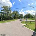 Loose dogs reported on trail in conservation area