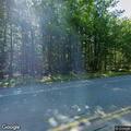 Tree blocking eastbound lane on Main Road