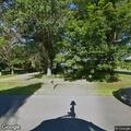 Deceased deer removed from front lawn