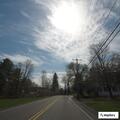 Tree and wires down off County Route 9 roadway