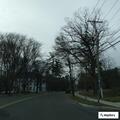 Tools in roadway on Thurston Avenue bridge