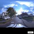 Officer requested for cat lingering on doorstep