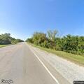 Loose dog in roadway at 18th Street and Lewis Avenue