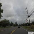 Pickup reported driving erratically on Route 20
