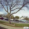 Hit-and-run crash at Gratiot and Wilson
