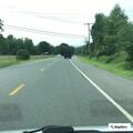 Traffic stop on North Street in Dalton