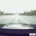 Deer removed and wrong-way driver reported