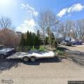 Loose dogs reported on Boyd Street East