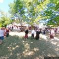 Person sick at Kenosha Bristol Renaissance Faire area