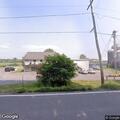 Loose beagle running in road near County Route 101