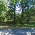 Tree blocking roadway on Gentile Road