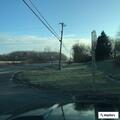 Loose dog reported on North Street