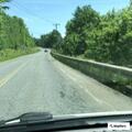 Injured bear struck by car on Route 116 in Plainfield